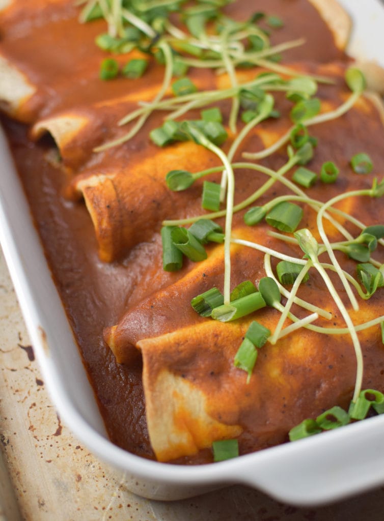 MSG Free Enchilada Sauce