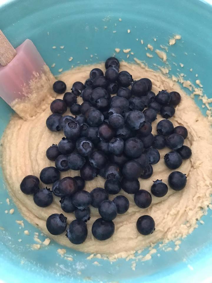 Fresh blueberries being mixed into muffins