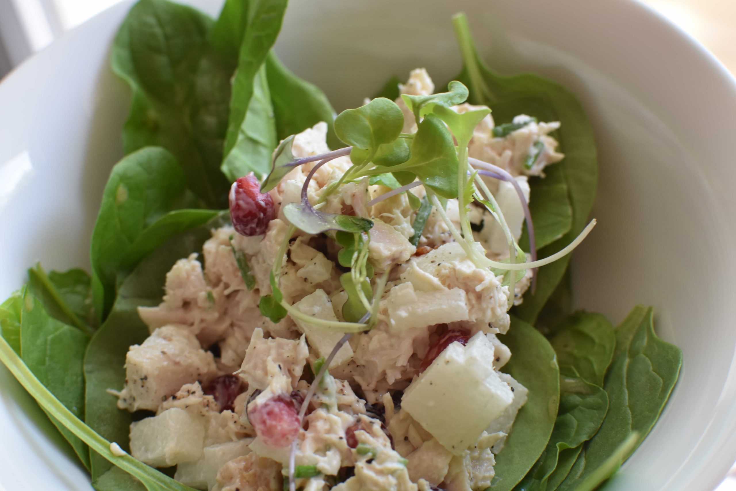 A pomegranate chicken salad on a bed of greens