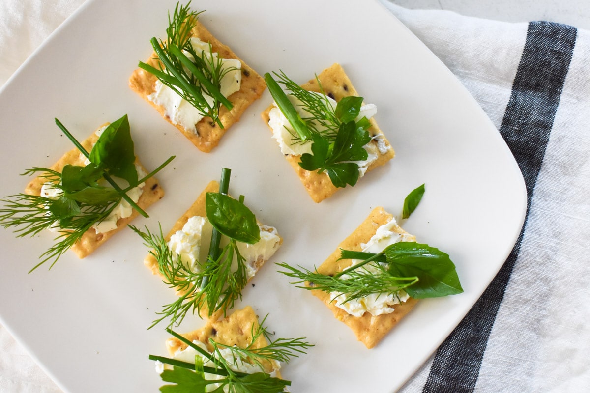 Appetizer crackers with cream cheese and fresh herbs on a white plate