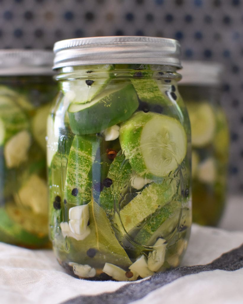 Homemade farmers market dill pickles | quick and easy