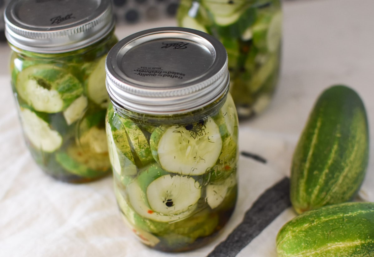Quick Homemade Dill Pickles - The Dizzy Cook