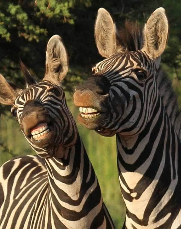 How Chronic Illness Made Me A Tracker | Overcoming expectations and boundaries to find your "true self"