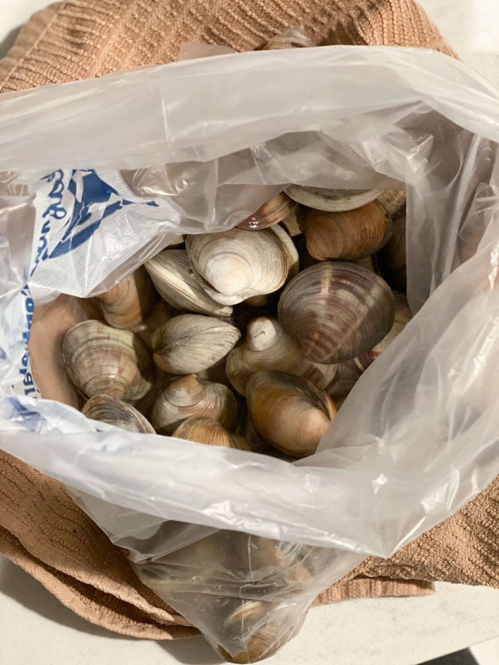 Fresh littleneck clams in a plastic bag