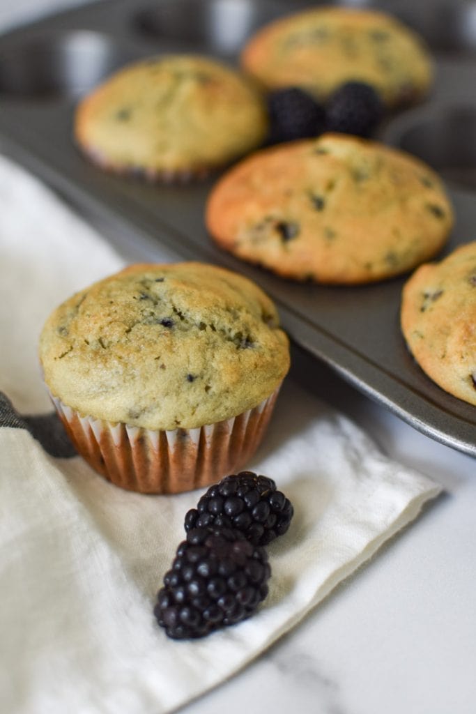 Blackberry muffins in a muffin tin
