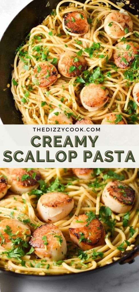 Seared scallops on top of creamy garlic pasta sprinkled with parsley