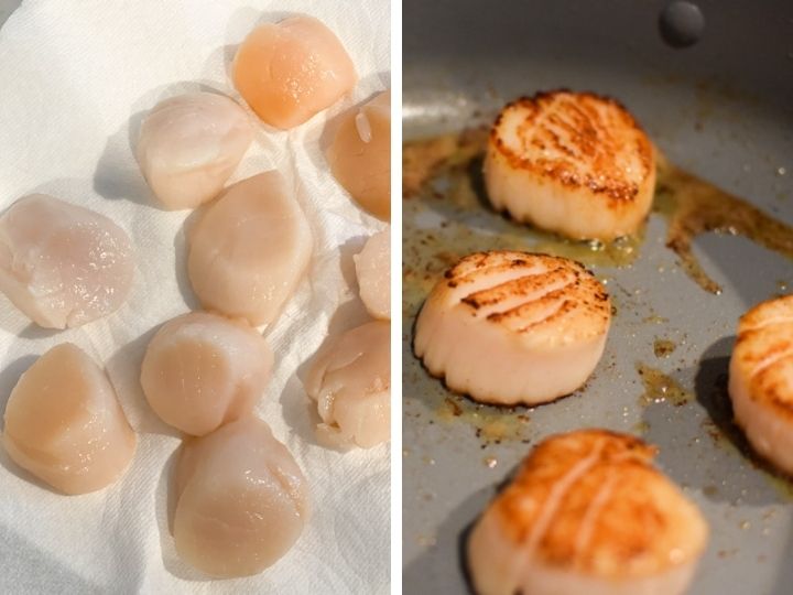 Raw scallops being patted dry and seared scallops in a hot pan