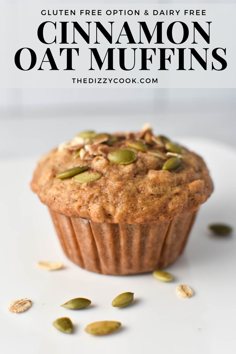 Cinnamon Oatmeal Muffins The Dizzy Cook