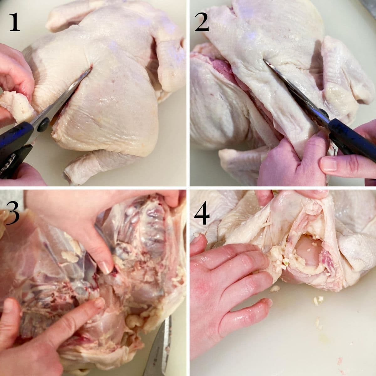 A step by step process of how to spatchcock a chicken by cutting out the backbone