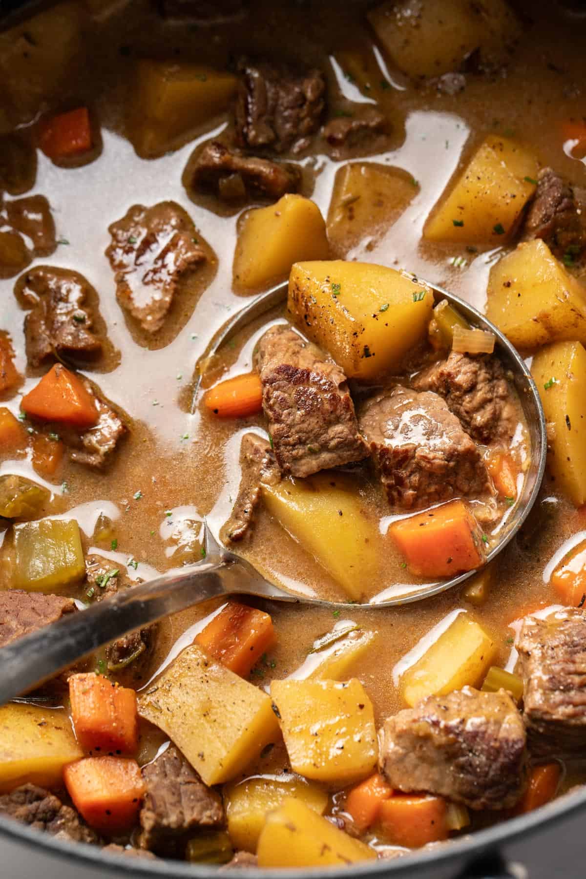 A ladle scooping a beef stew with carrots, potatoes, and broth.