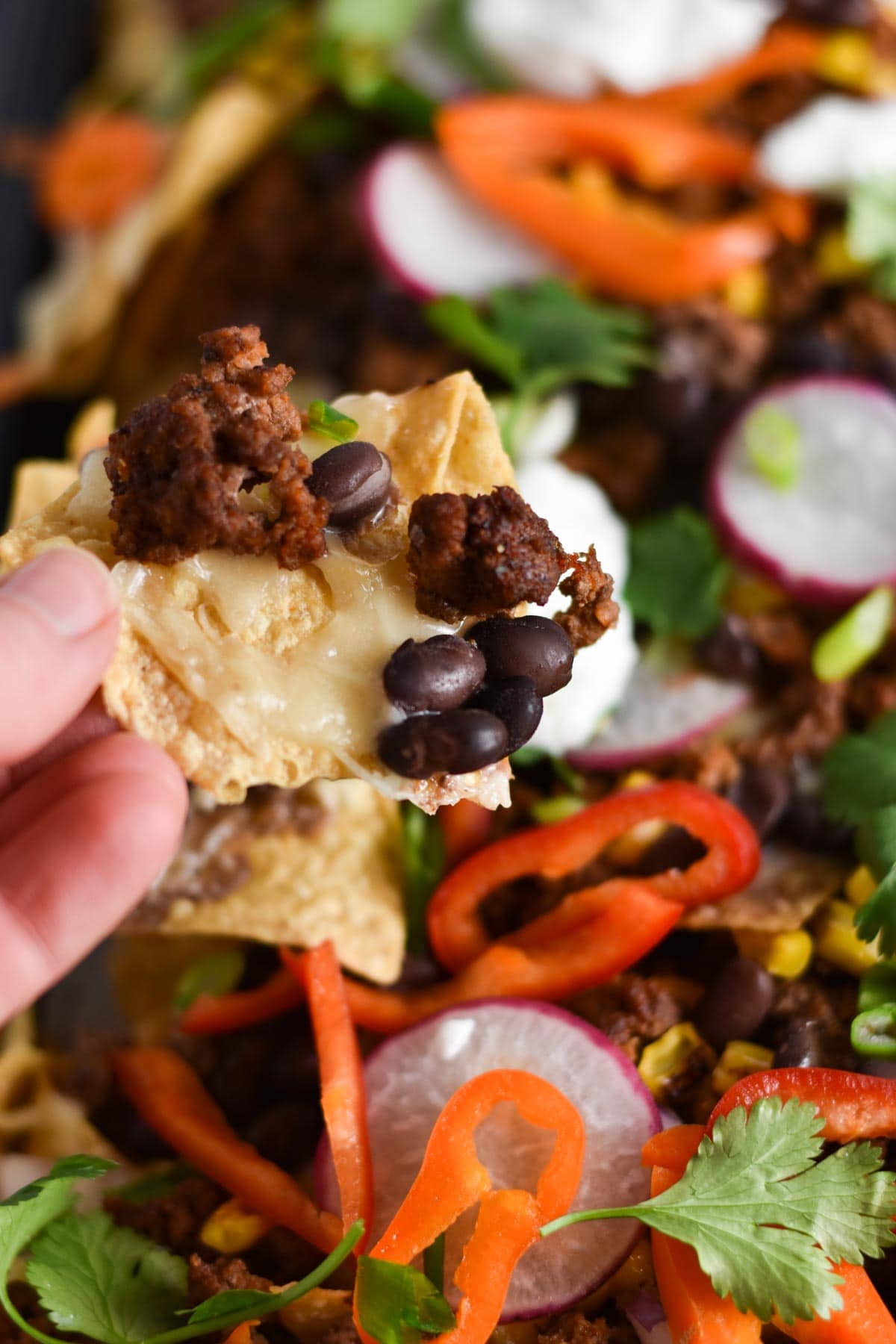 A hand holding a beef nacho with black beans and melted white cheese. 