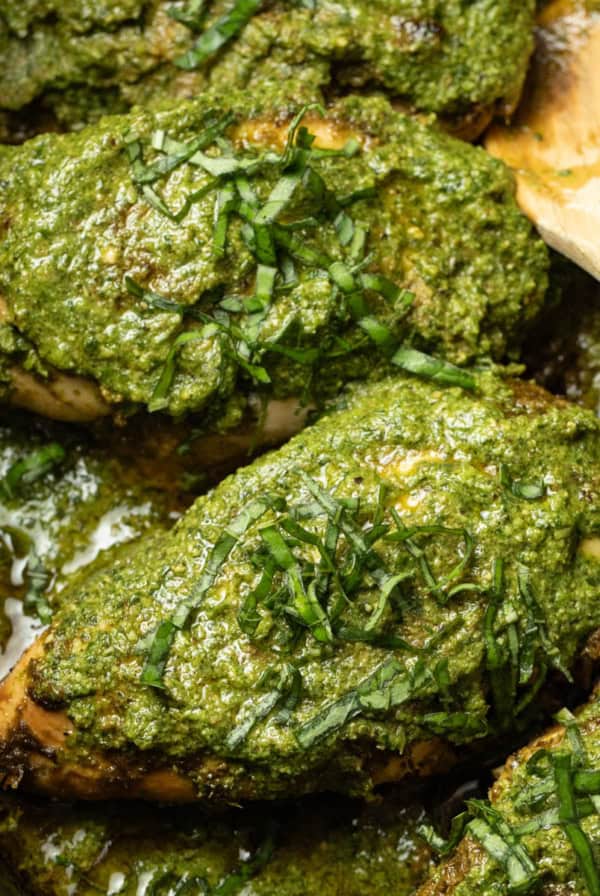Chicken covered with pesto in the crockpot.