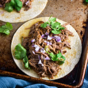 Shredded steak on a tortilla with cilantro.