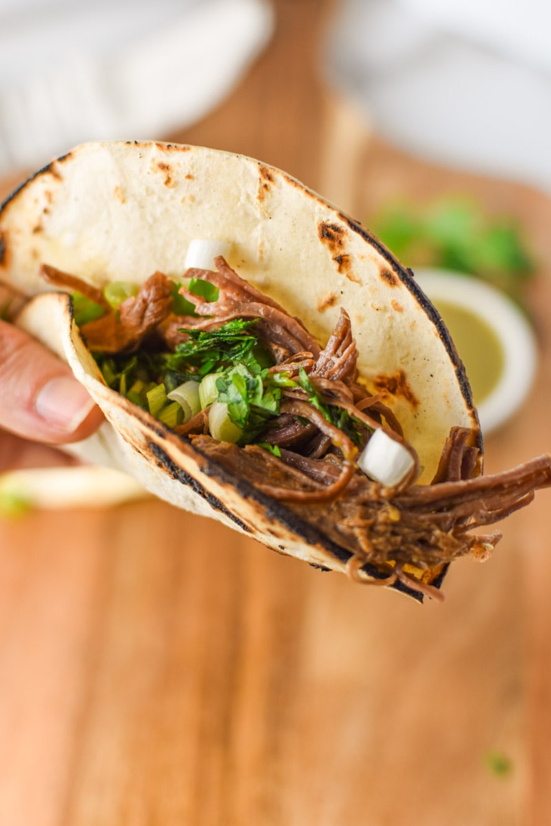 A hand holding a folded steak taco.