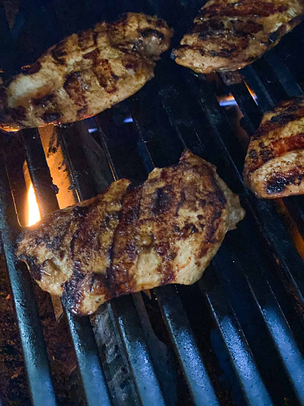 Grilled chicken showing grill marks.