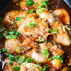 Apricot chicken in a slow cooker topped with green onion.