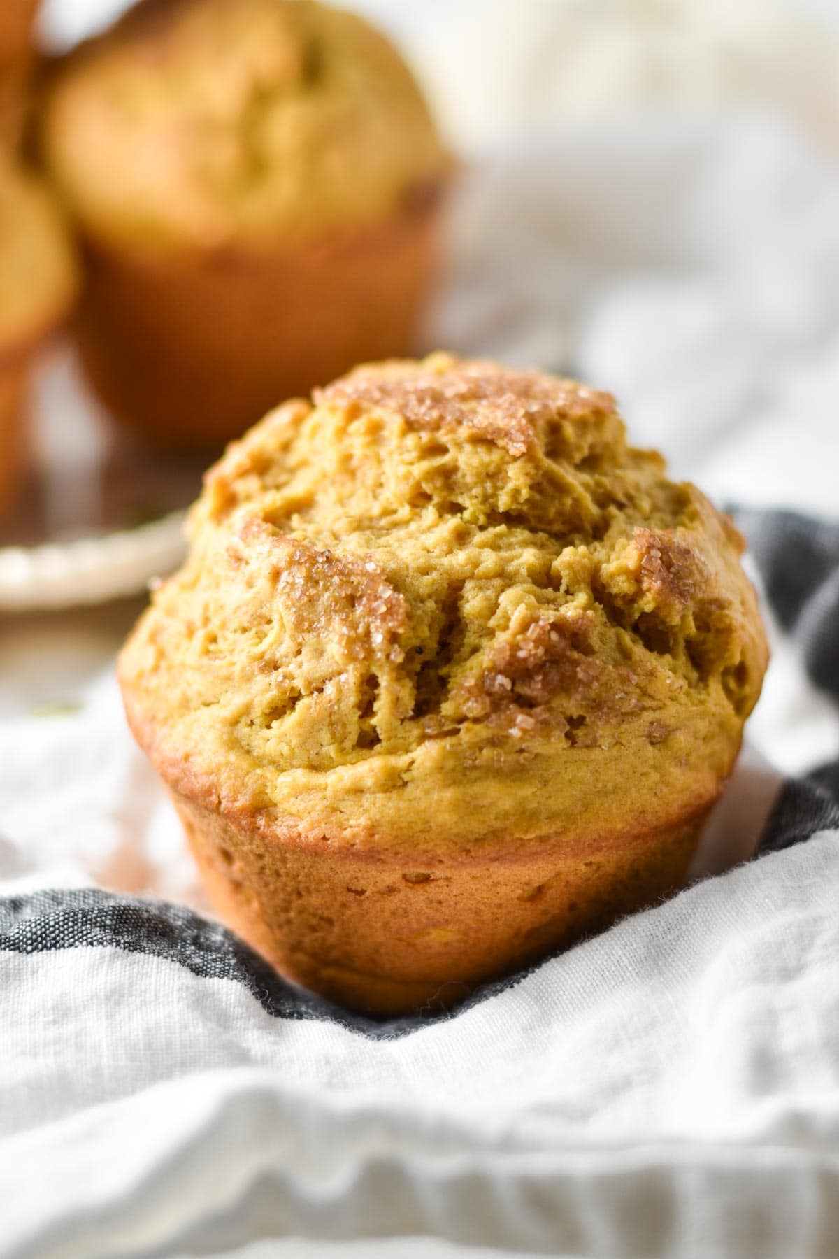 A pumpkin bakery style muffin with a crispy sugar top. 
