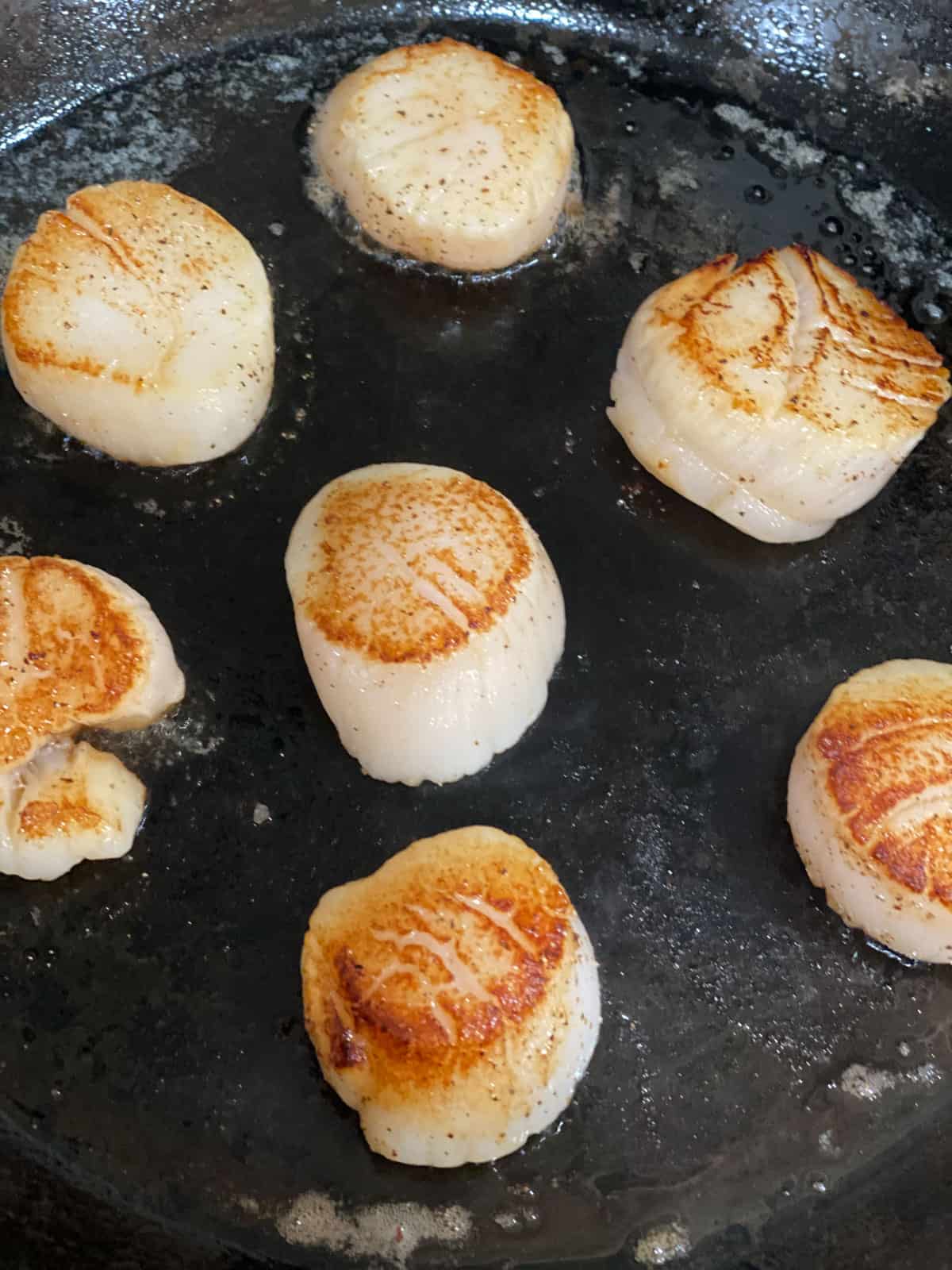 Searing scallops in a pan. 