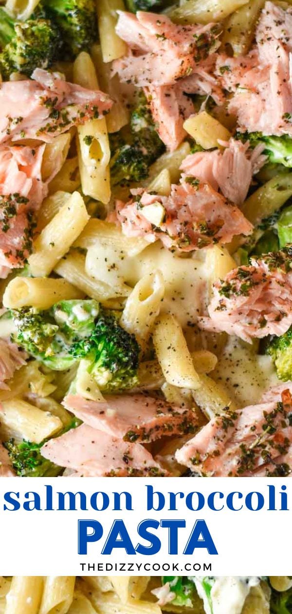 Salmon and Broccoli Pasta The Dizzy Cook