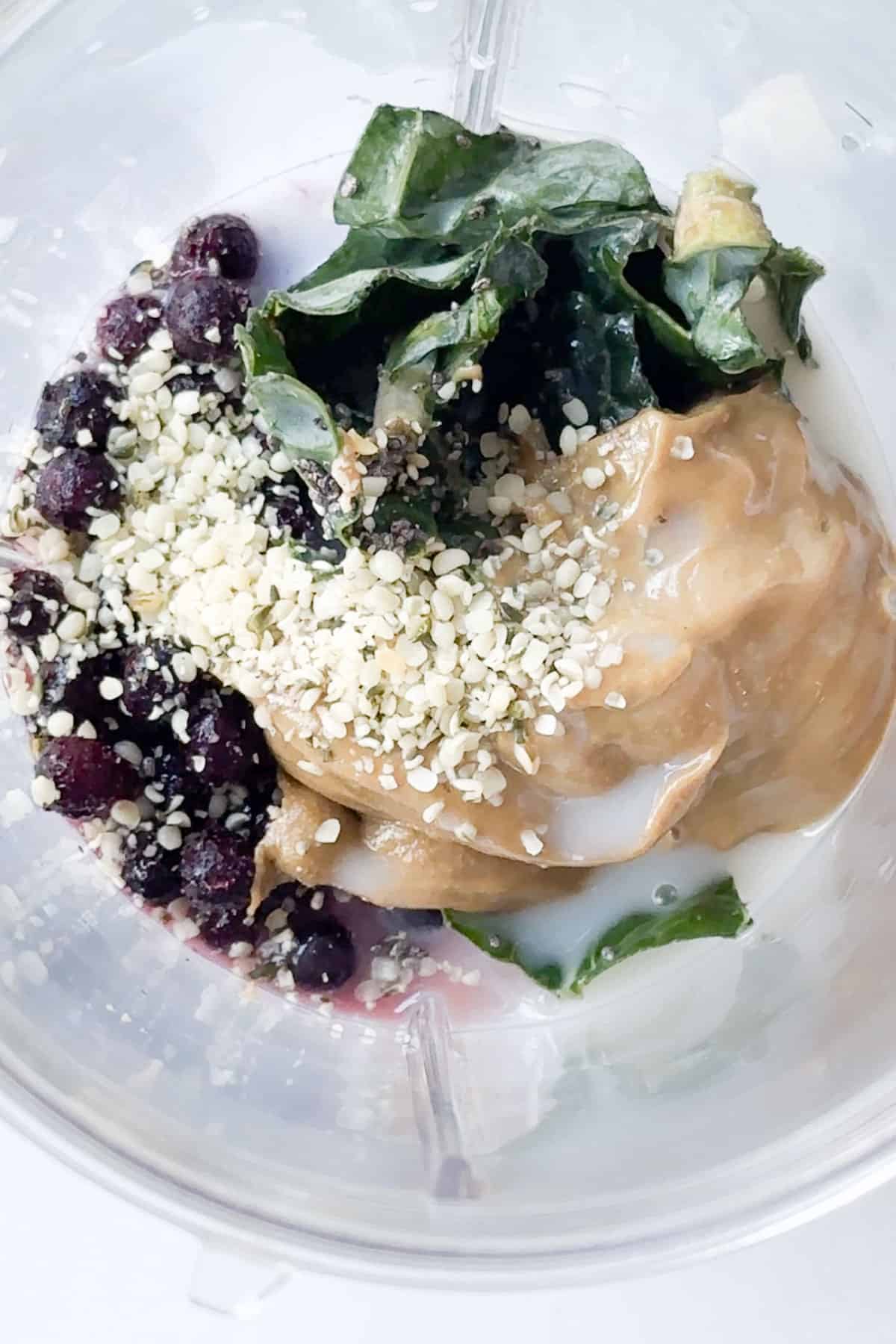 Wild blueberries, hemp seeds, and sunbutter in a blender.