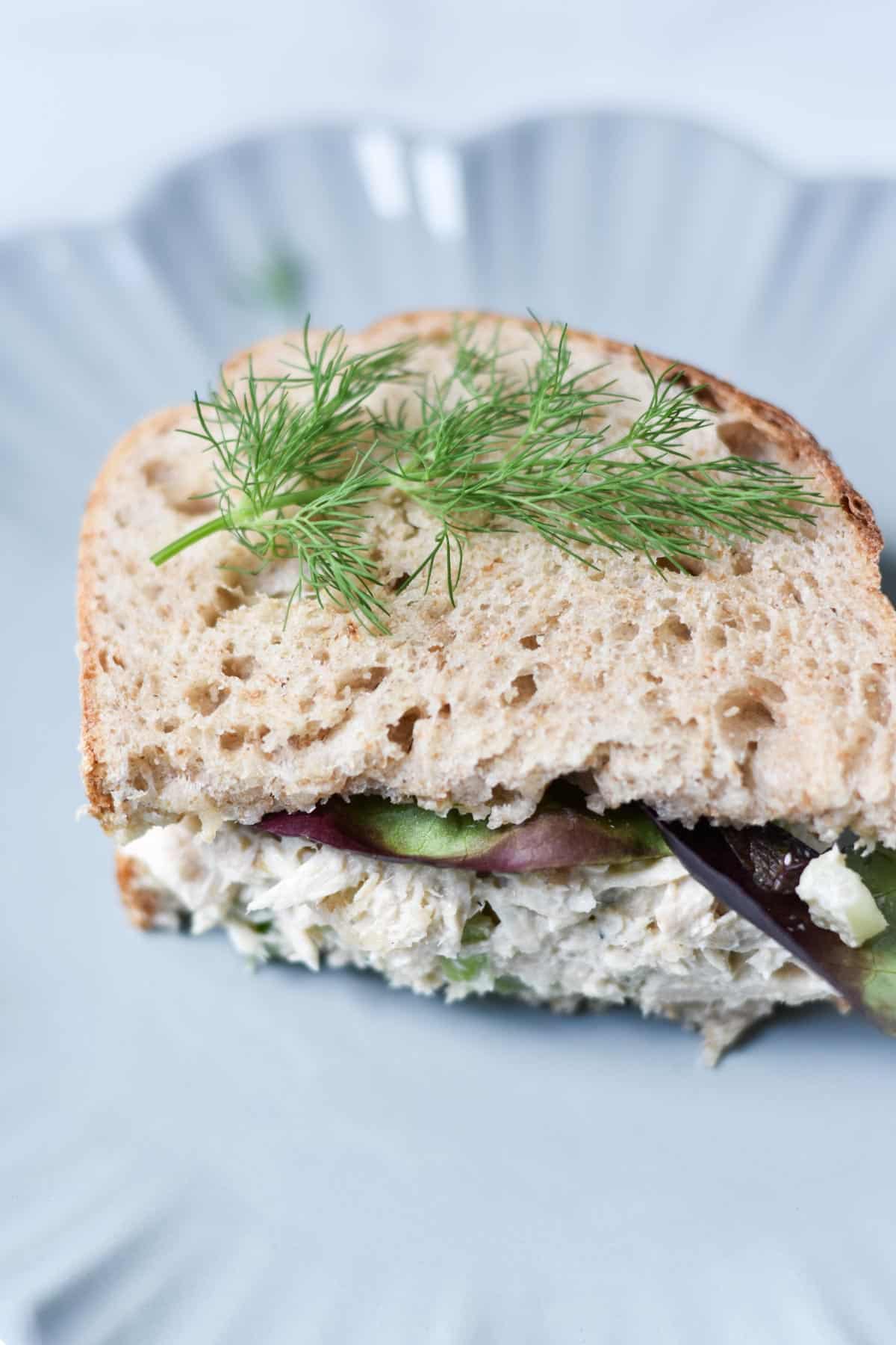 Tuna salad on bread with fresh dill on top.