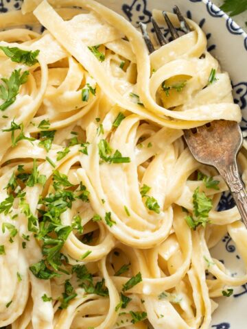A blue and white bowl of pasta in a creamy mozzarella sauce with pasta wrapped around a fork.