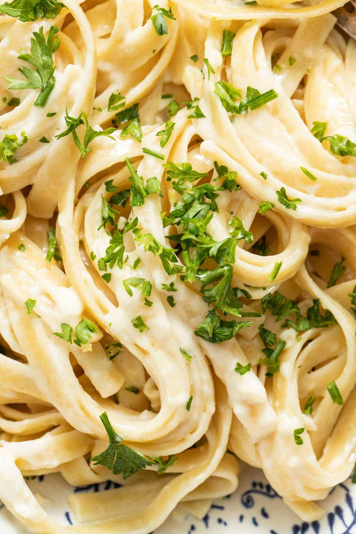 A close up of pasta coated in a creamy alfredo sauce with mozzarella cheese.