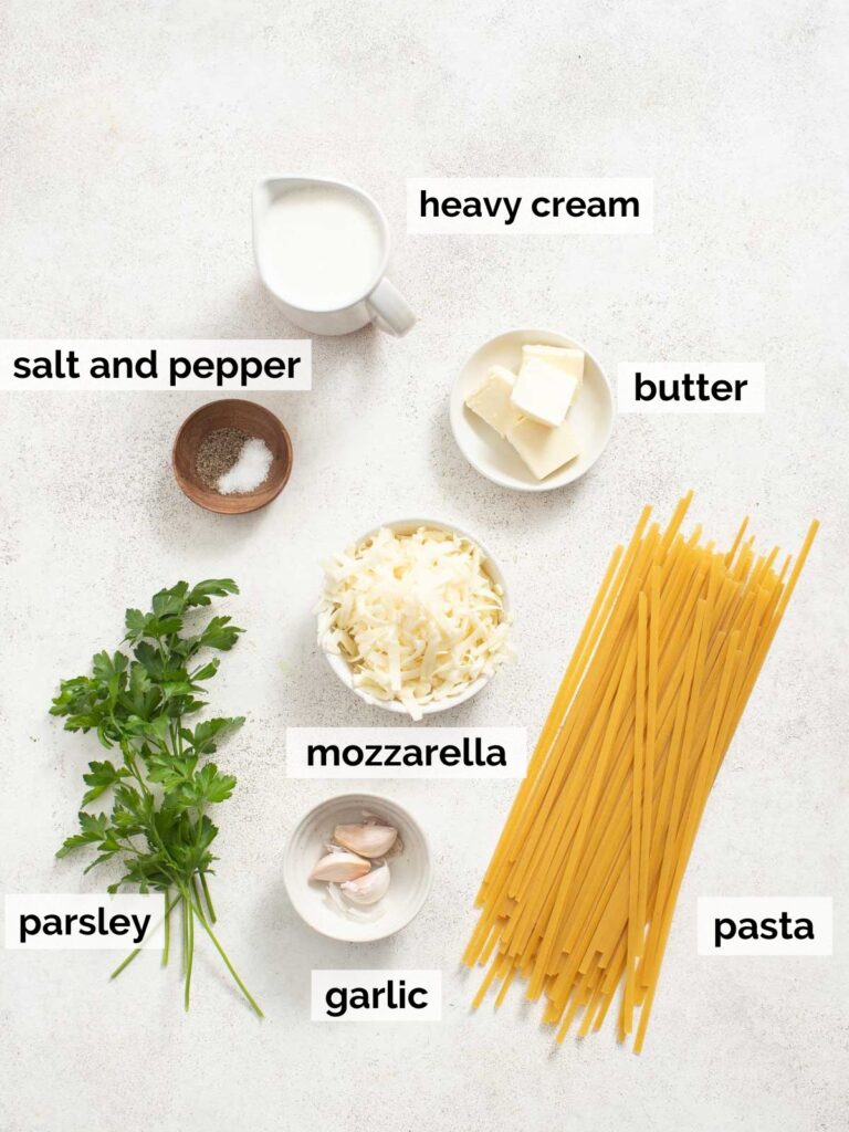 Mozzarella Alfredo Pasta Sauce The Dizzy Cook
