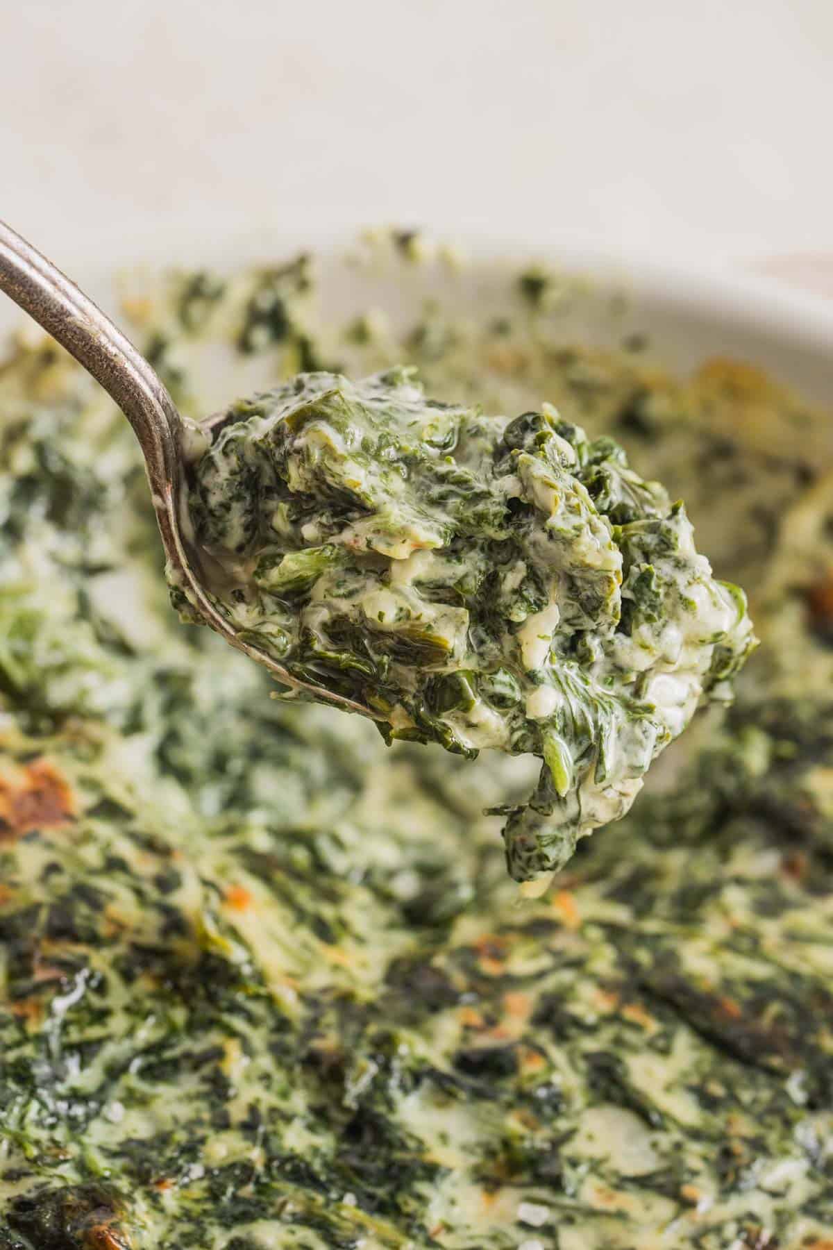 A spoonful of creamed spinach.