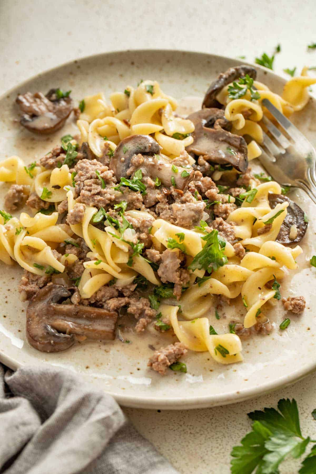 Beef stroganoff in a light sauce on a white plate.
