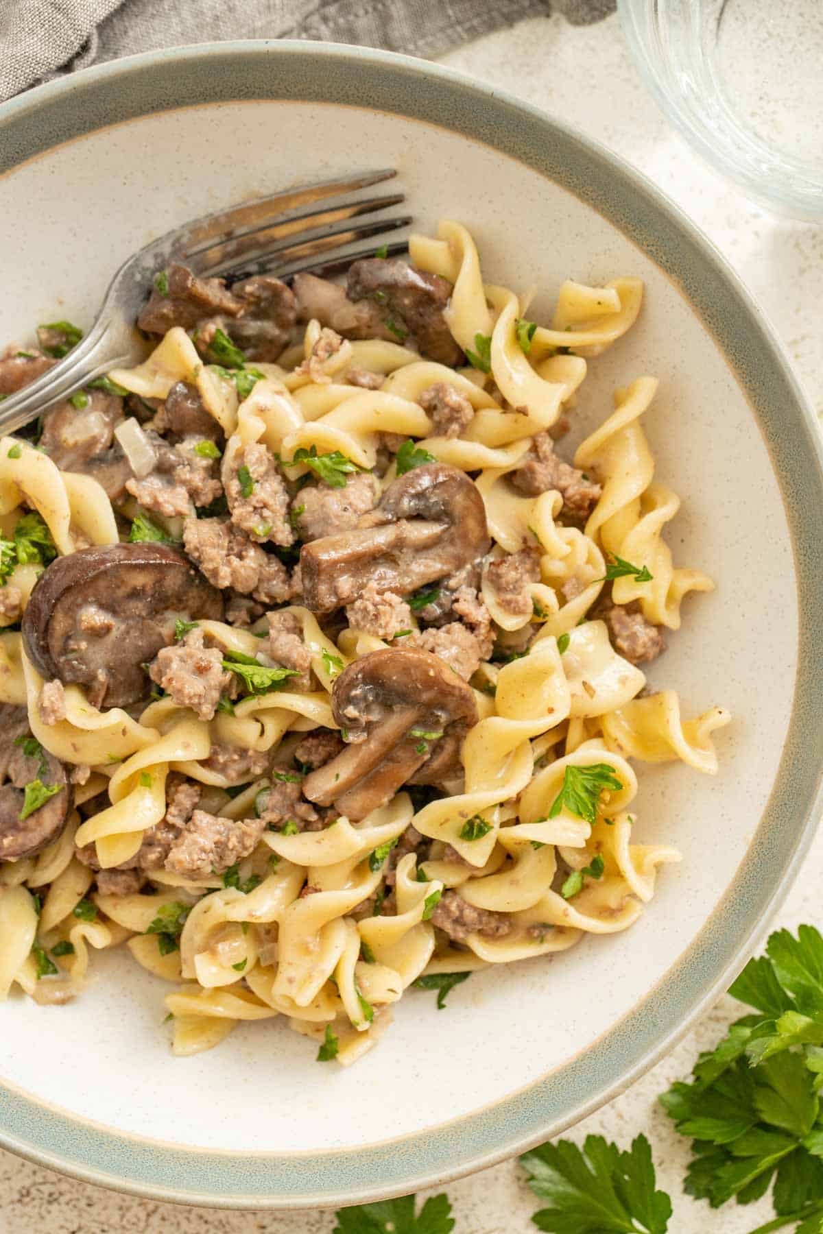 Beef stroganoff in a white bowl with a green rim.