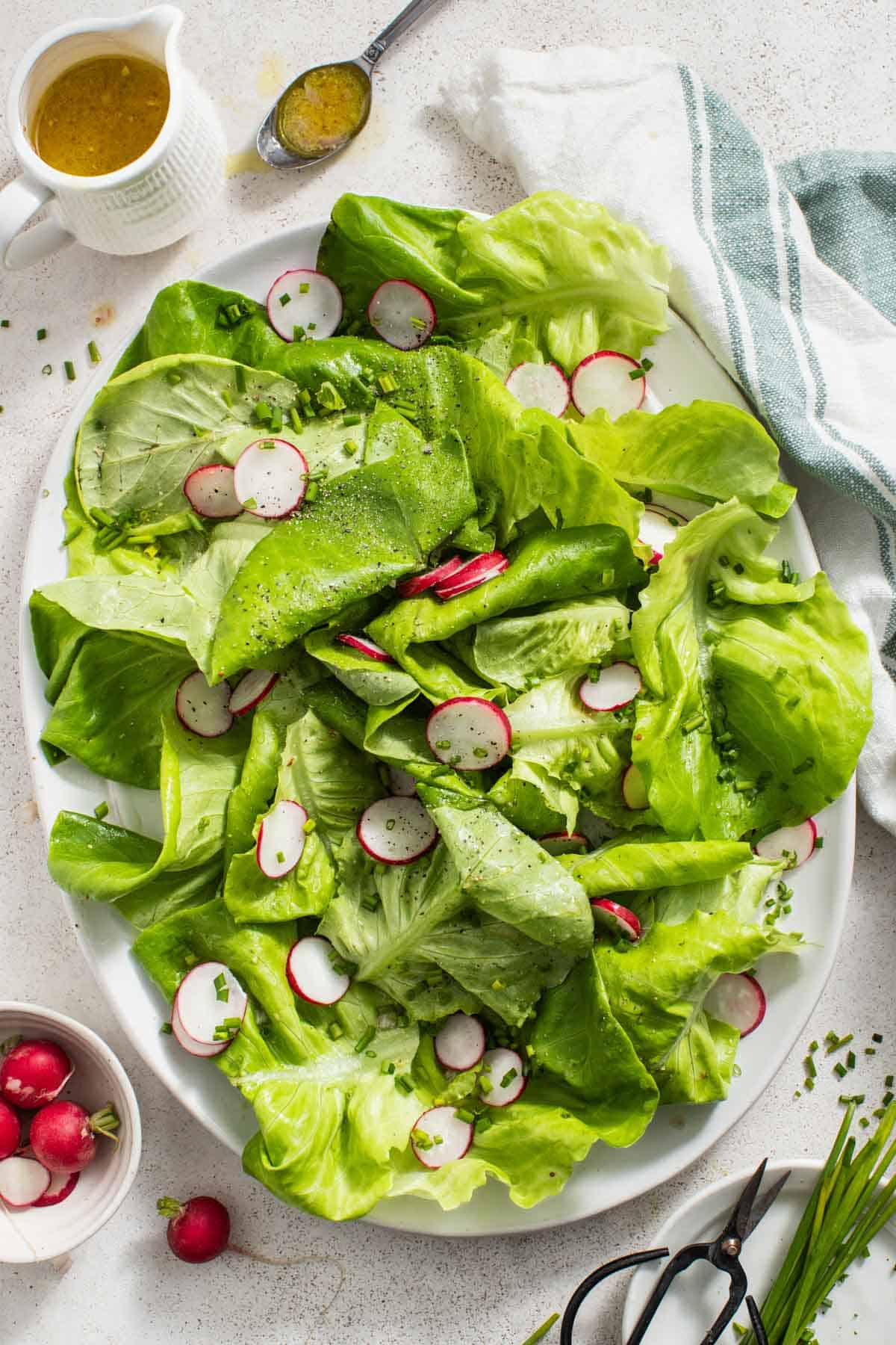 Butter lettuce salad with radishes and chives in a white bowl. 