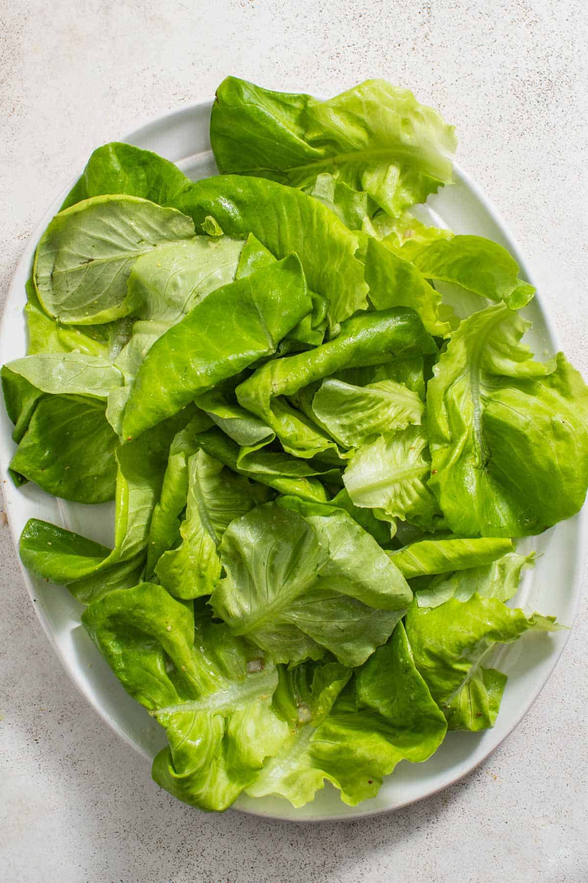 Dressed butter lettuce in a bowl.