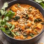 A bowl of sweet potato stew topped with cilantro and roasted sunflower seeds.