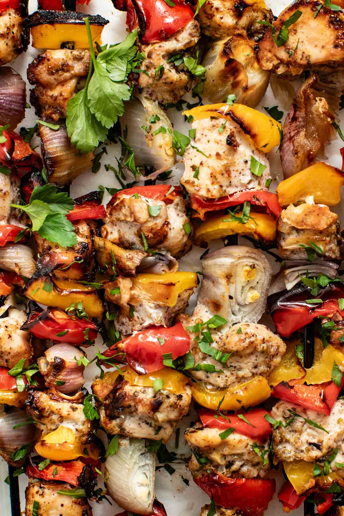 Chicken kabobs that have been baked in the oven till golden brown topped with parsley lined in a row.