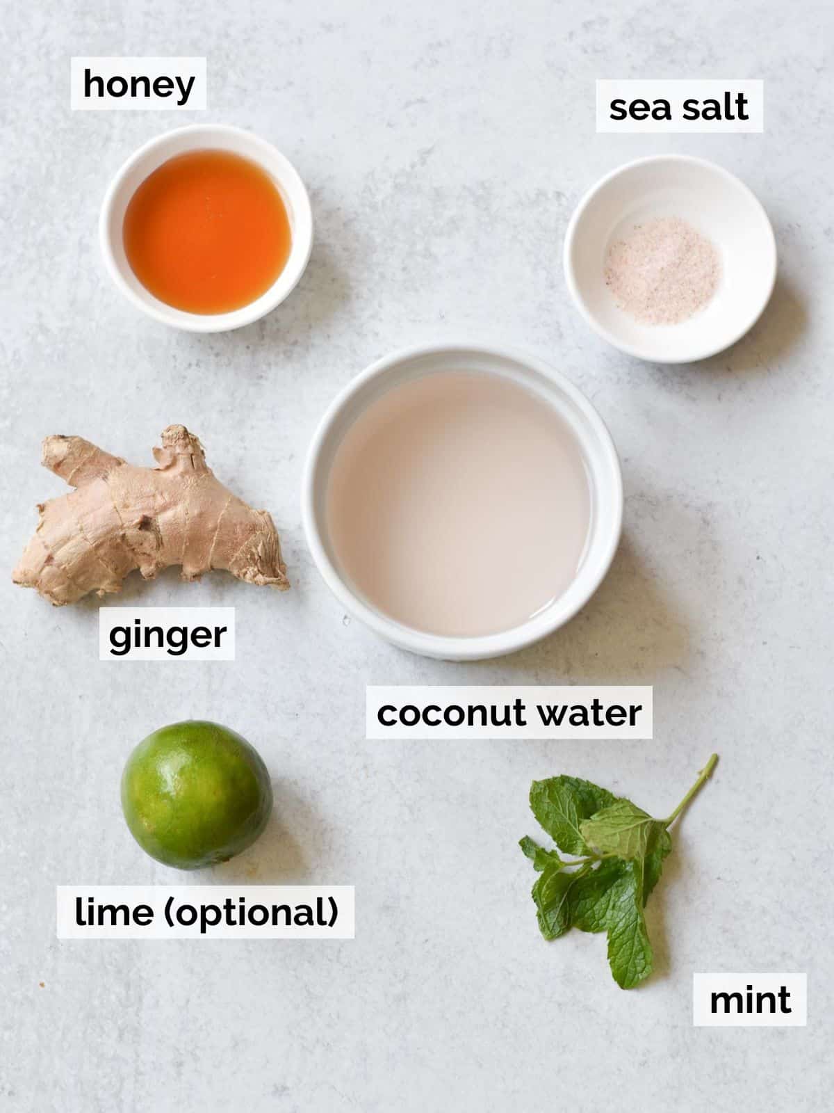 Ingredients for electrolyte popsicles on a white background.