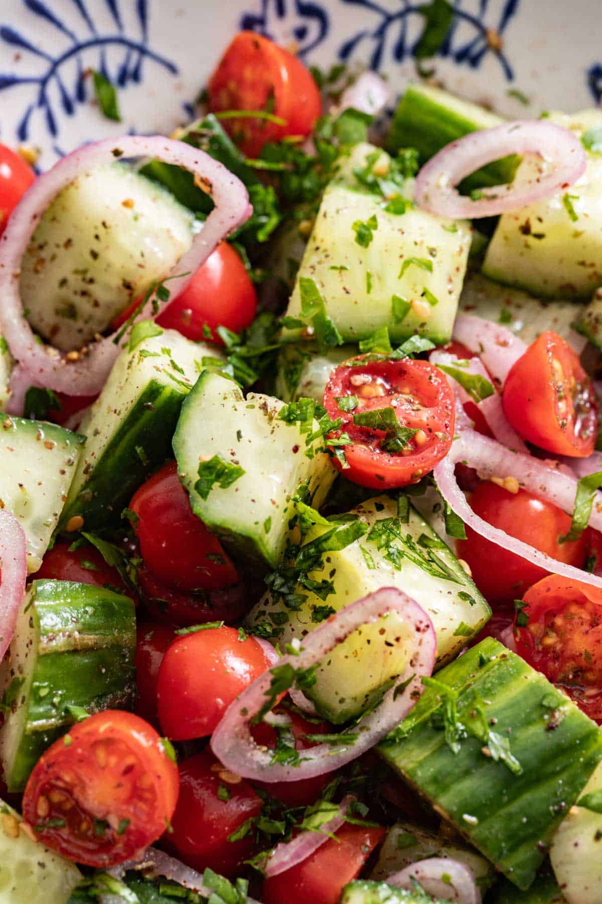 A close up shot to see the details of chopped cucumber, tomatoes, shallot, and spices.