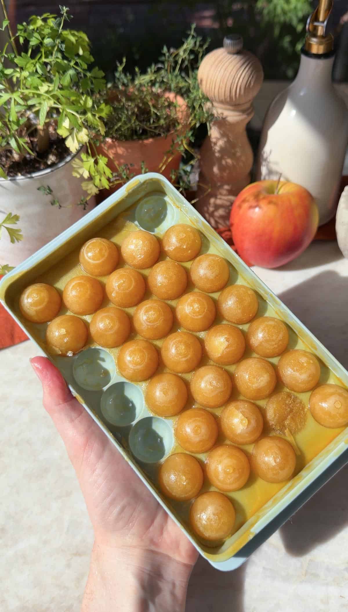 The fall apple cider base frozen into round ice cubes. 