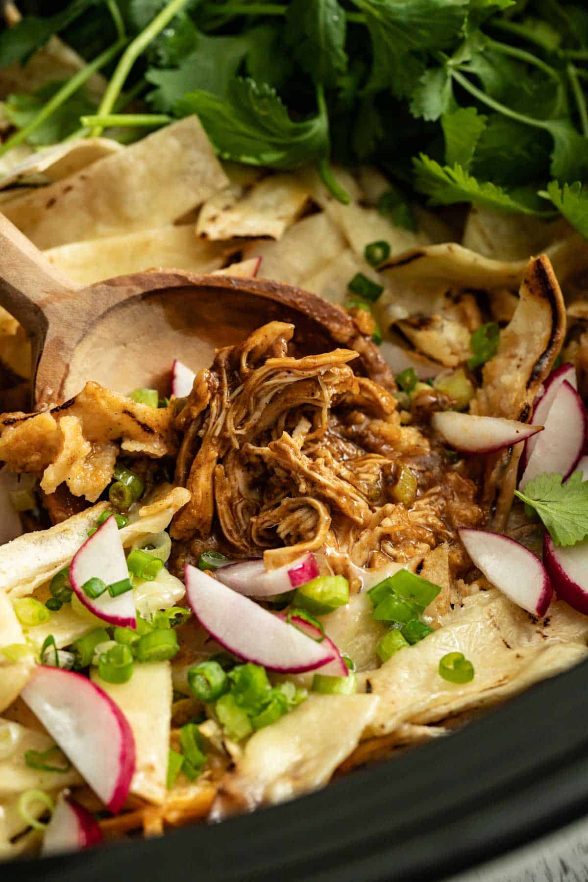 A close up shot of shredded chicken in enchilada sauce, being cooked in the crockpot.