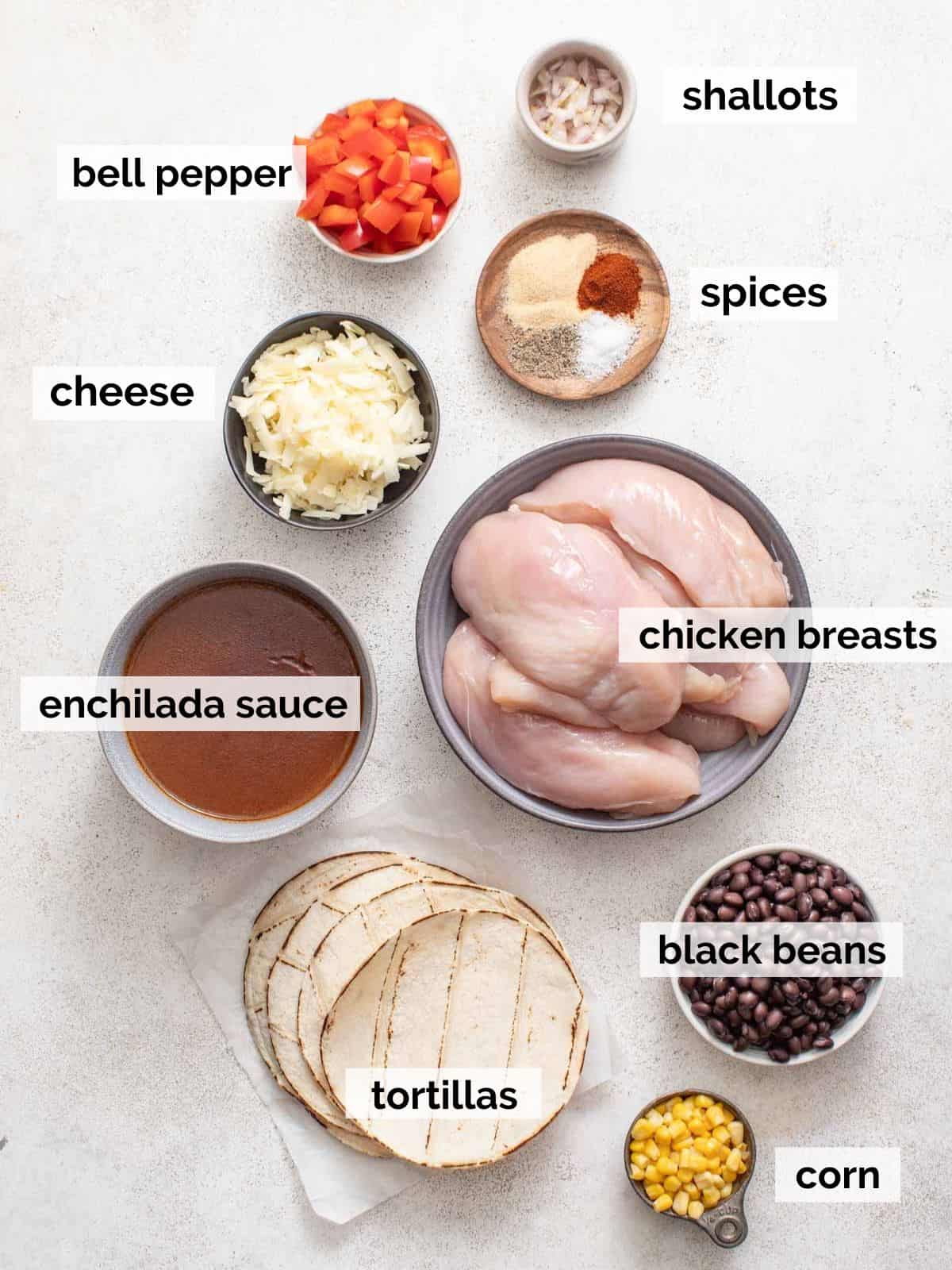 Ingredients for chicken enchiladas in the slow cooker on a white background.