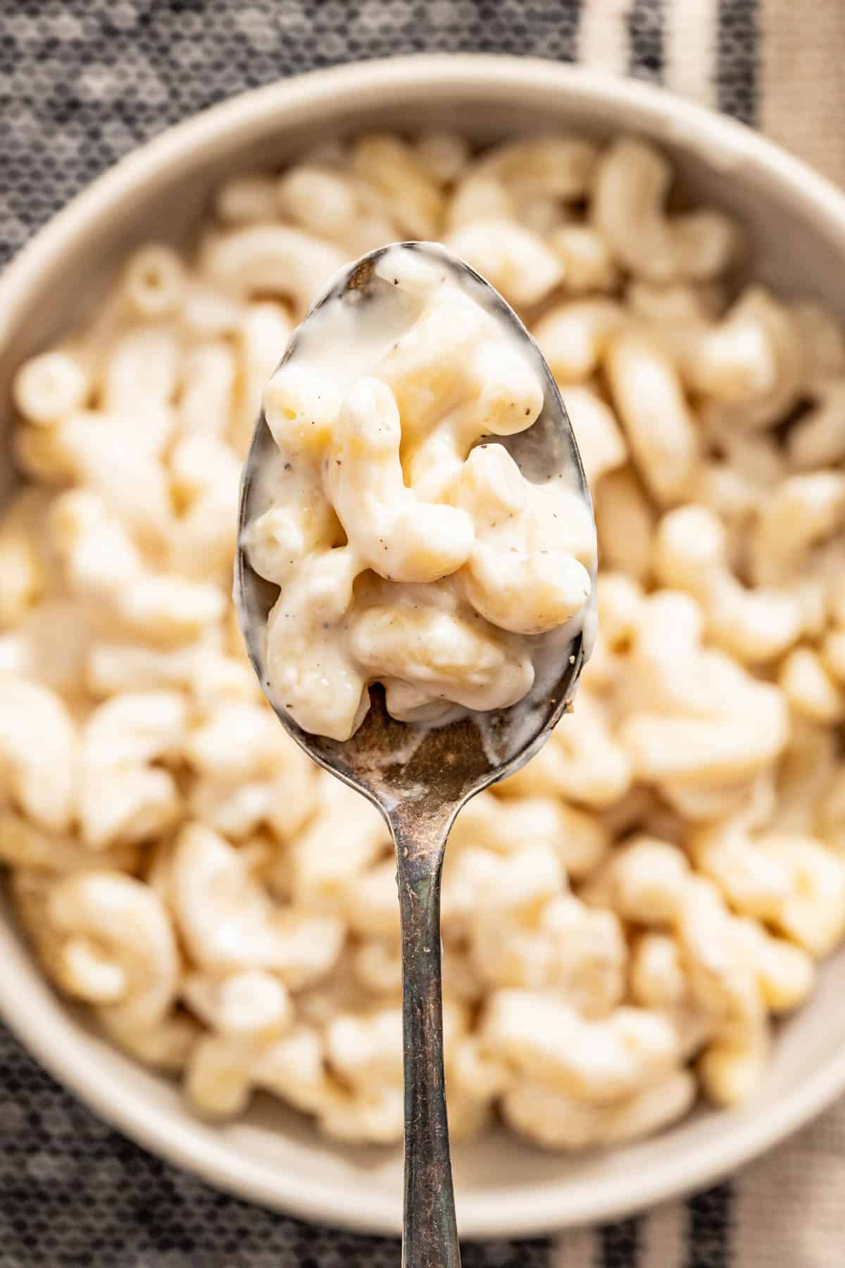 A spoon holding macaroni to show a close up of the cheesy sauce on the pasta.