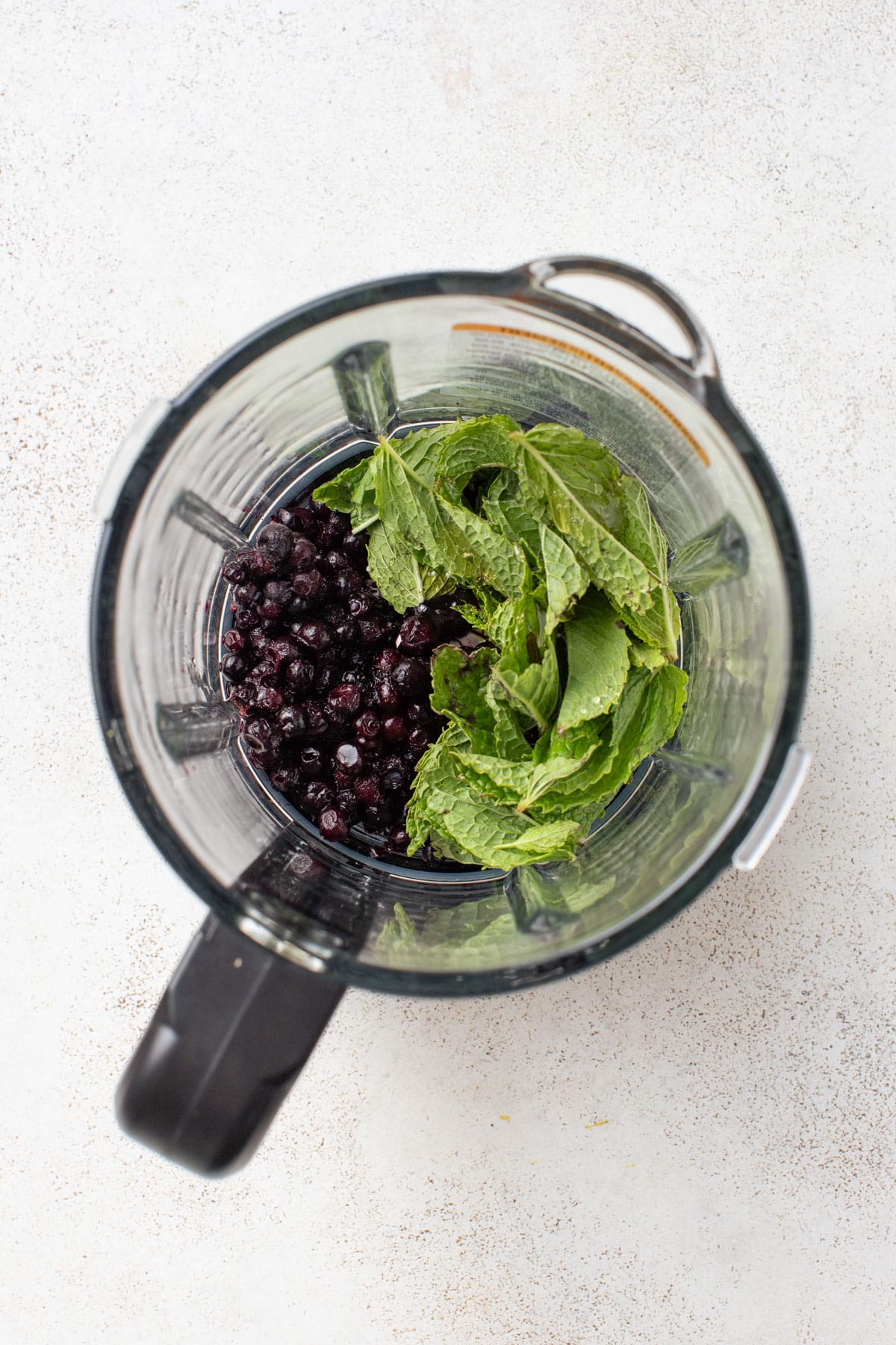 Blueberries and mint in a blender.