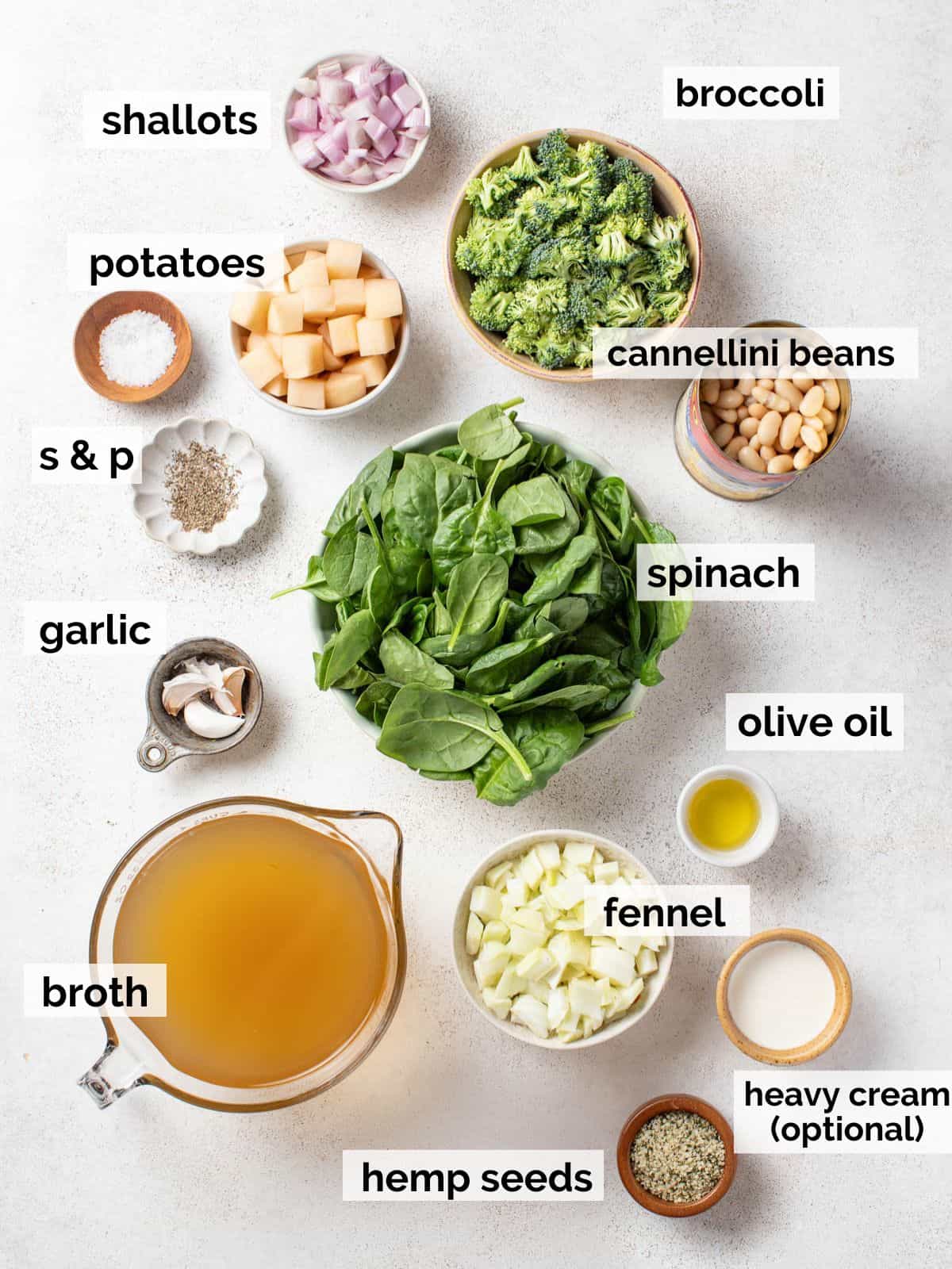 Ingredients for a white bean spinach soup on a white background.