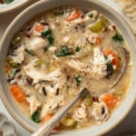 A bowl of creamy chicken and wild rice soup with carrots and celery.