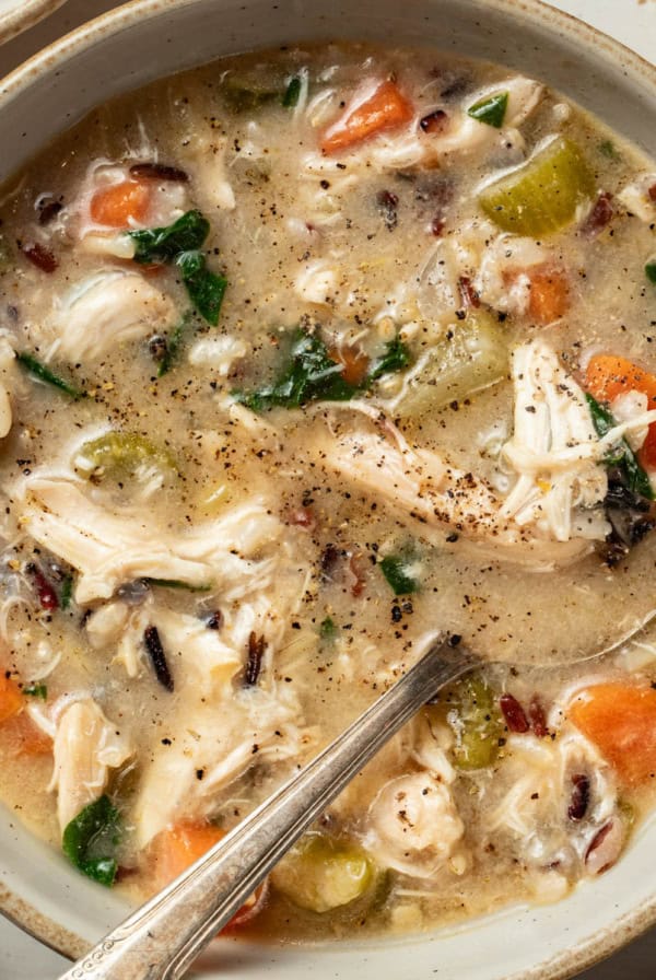 A bowl of creamy chicken and wild rice soup with carrots and celery.