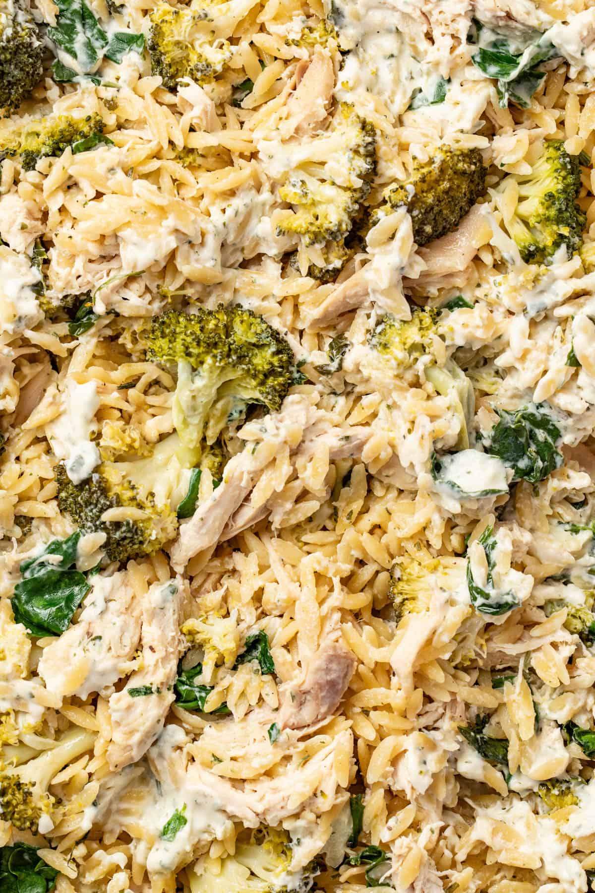 The chicken orzo bake with boursin and broccoli after baking and stirring.