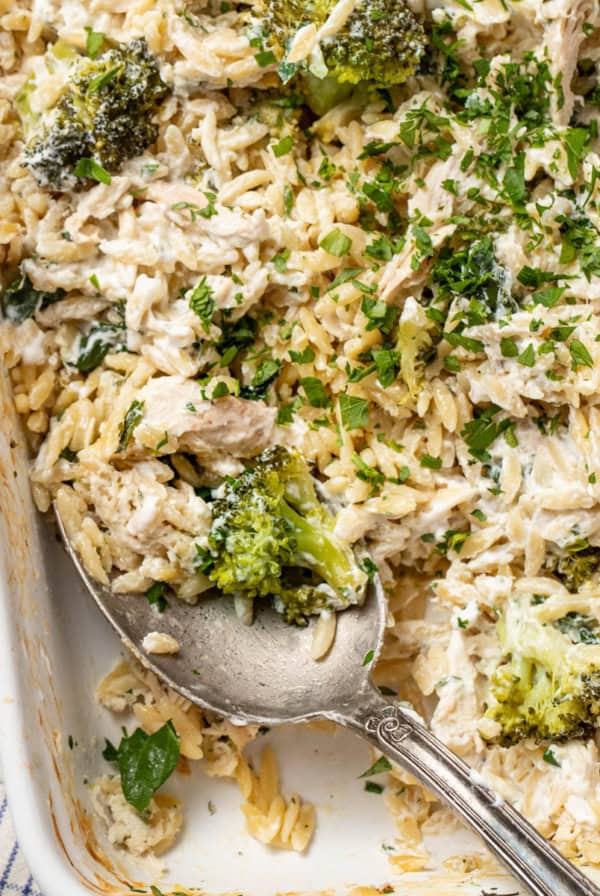 A spoon scooping into a creamy chicken orzo bake with Boursin cheese.