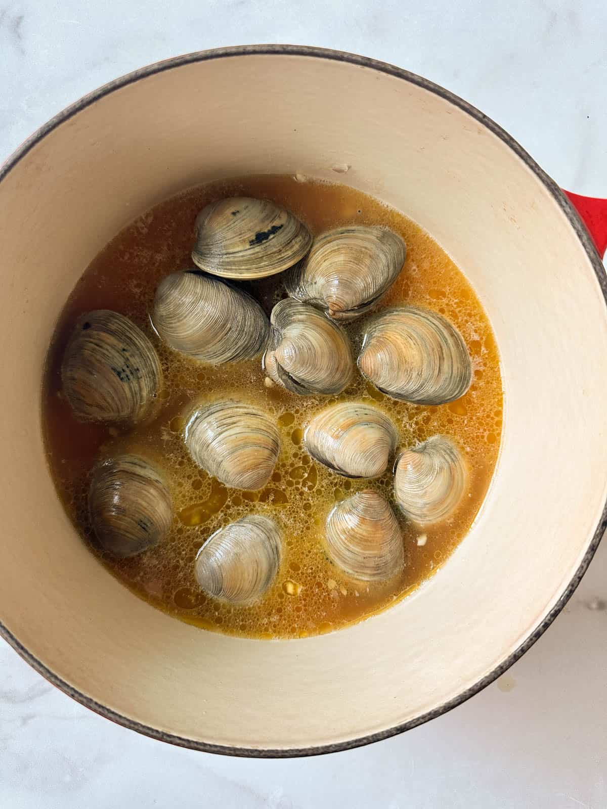 Closed littleneck clams in a dutch oven in broth before cooking.