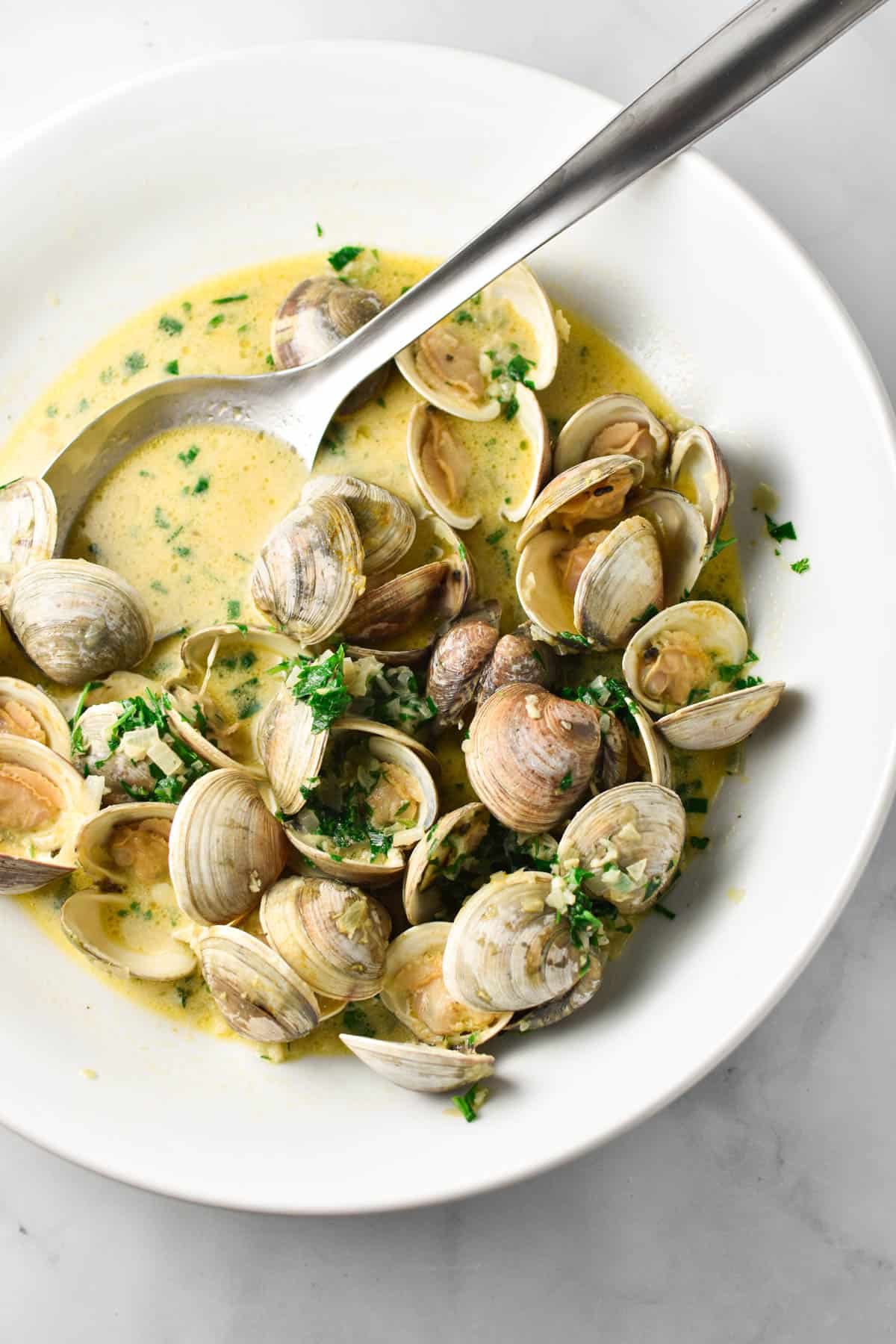 Cooked littleneck clams in a white bowl with a spoon dipping into the garlic butter cream sauce. 