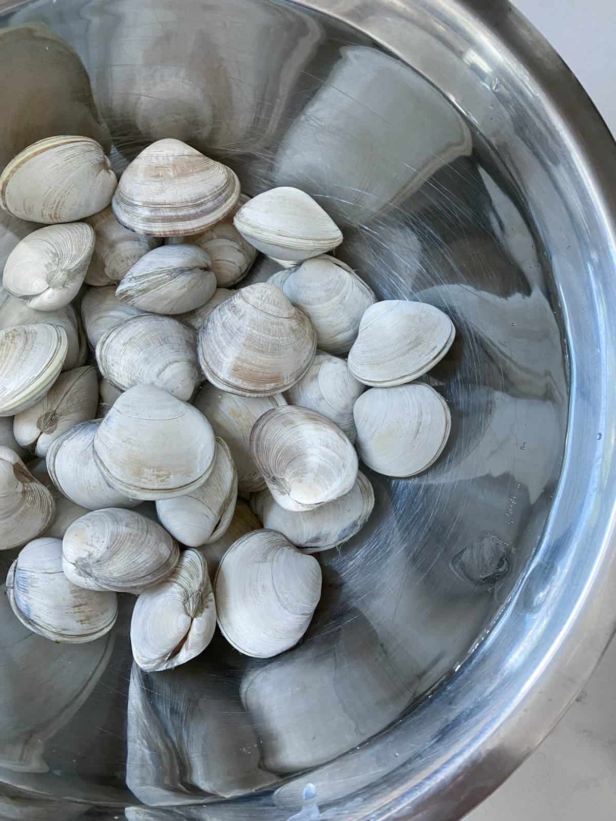 Fresh clams in a stainless bowl being washed in a sink.